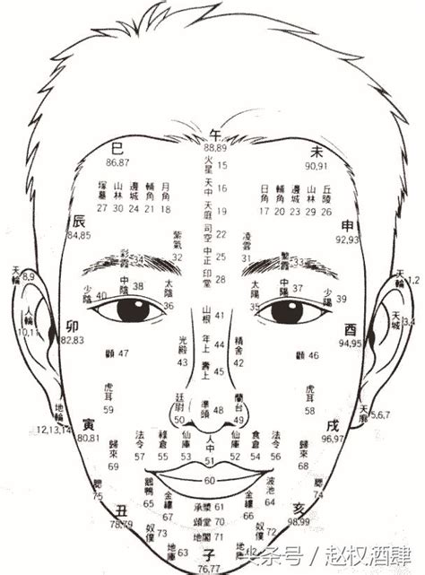 面相年齡|【面相年齡圖】面相年齡速測圖！用你的臉解開命運密碼